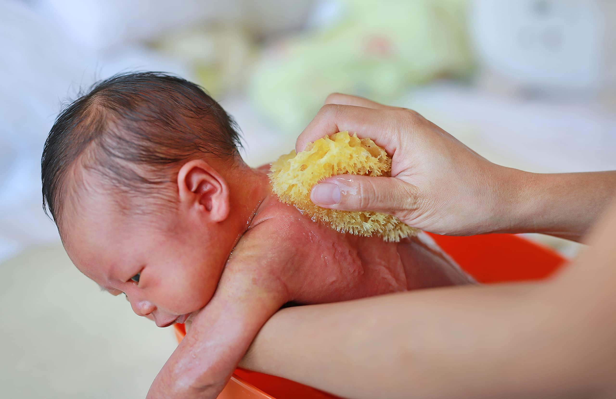 Real Sea Sponges for Babies - 6 Pk Bath Care Set, Gentle, Kind on Skin, for Bathing Washing Body Eyes, Ears Nose, Also for Newborn Toddler Kids; Baby Shower Spa Gift by Contented Infant®